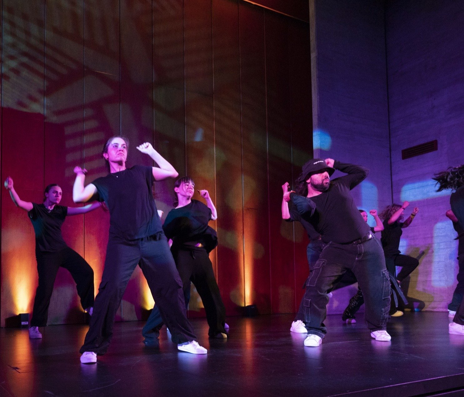 Hip-hop Advanced